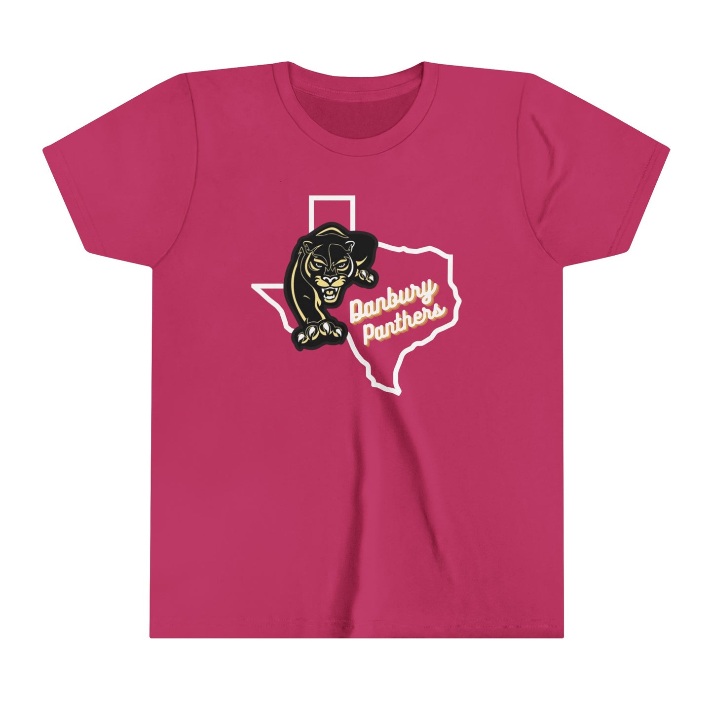 Youth Short Sleeve Tee Danbury Panthers Spirit Shirt