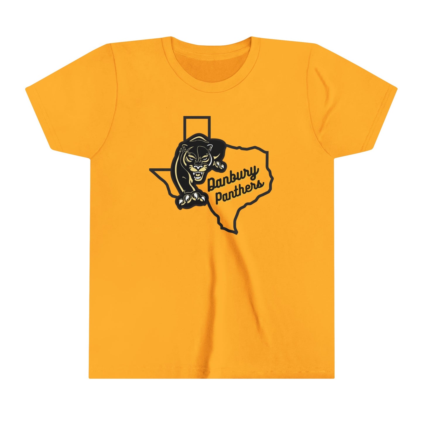 Youth Short Sleeve Tee Danbury Panthers Spirit Shirt